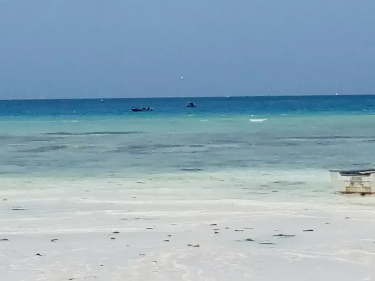 زنجبار